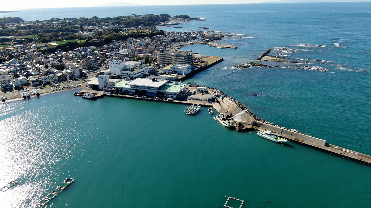 活用シーン 横須賀長井漁港